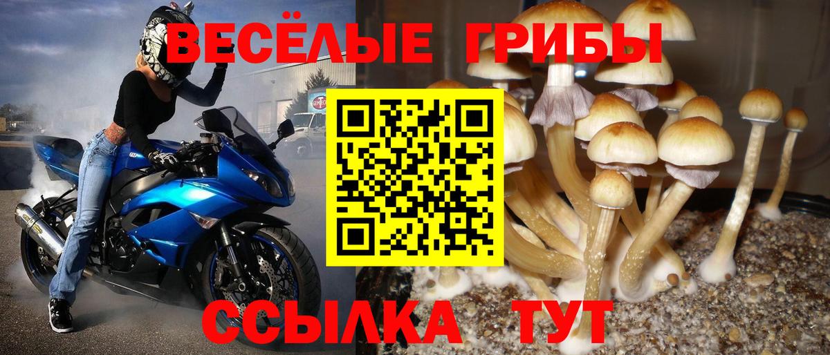 Галлюциногенные грибы GOLDEN TEACHER Рославль